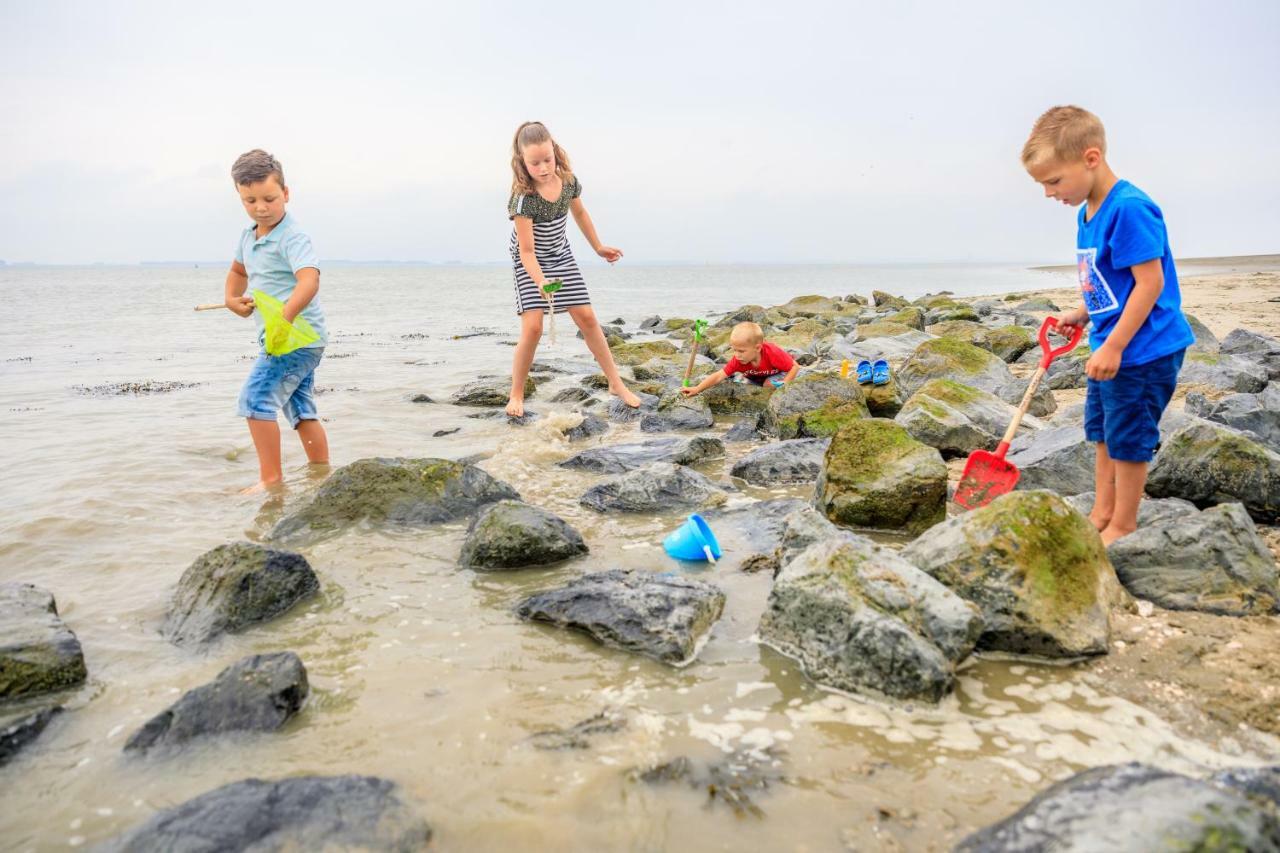 Camping Scheldeoord Baarland Exterior foto